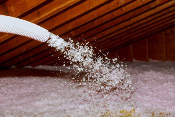 Best Spray Foam Insulation in Wolf Trap, VA