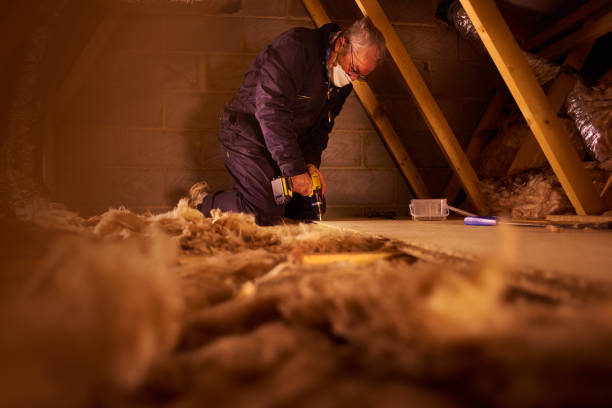 Best Spray Foam Insulation in Wolf Trap, VA